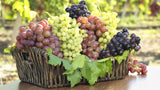 Amazing Mix of - disease resistant grape vines for COLD HARDY ZONES (US 4-9) - 15 fresh cuttings