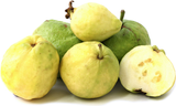 Guava Seeds (Psidium guajava) Non-GMO Tropical Fruit Tree Seeds B10