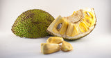 Jackfruit Artocarpus Heterophyllus Exotic Seeds Fresh 100% raw Organic Non-GMO World Largest Tropical Tree Seed B5