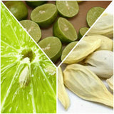 Fresh Thai Kaffir Lime Seeds Citrus Hystrix Seeds  (Wild Lime), BN 5