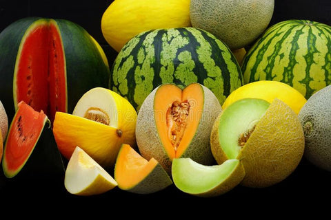 Mixed Heirloom organic Melon and Watermelon Seeds - Non-GMO, Fruit Seeds, Melon Seeds Bin#25 SURPRISE PACK
