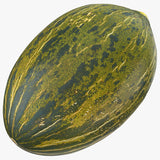Piel de Sapo Melon (Cucumis melo) Seeds Non-GMO, Organic, Heirloom B25