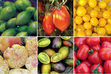 Vegetable seeds, Heirloom Tomatoes, Non-GMO Seeds, seeds, organic seeds B25